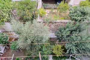 Athenian Bliss Spotless Neos Kosmos WiFi Studio