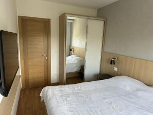 Silver Flake Apartment