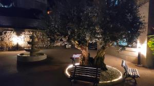 Hotel Apartamento Marouco