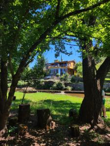 Cielo de Piedra. Cabañas y Petit Hotel