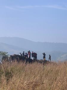 Spirit of the Wild Mountain Retreat