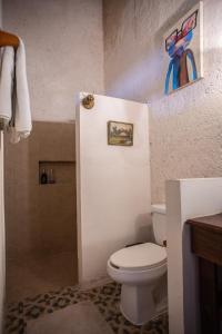 Historical Green House Campeche