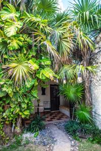 Historical Green House Campeche