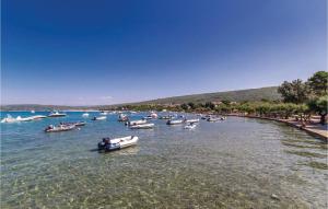 Gorgeous Apartment In Punat With Wifi