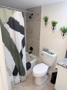 Tampa Bays Hidden Gem