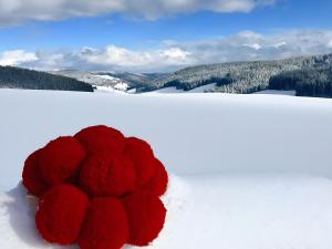 Lettwieshof Birgit und Peter Heine
