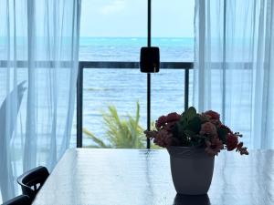 Oasis Roraimar - Refúgio em Maragogi