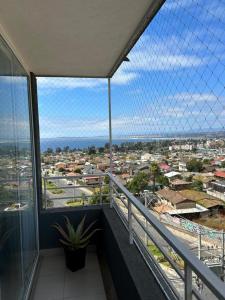 Monkey apartment Concon