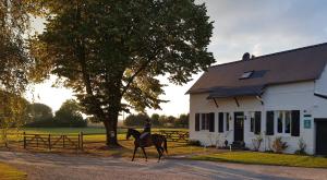 Maisons de vacances Le Grand Gite : photos des chambres