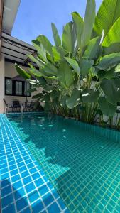 Zen Retreat Glass Pool Villa
