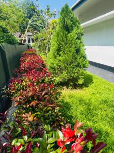 Starlight Villa - Galle