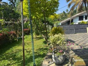 Starlight Villa - Galle