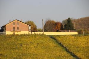 Cascina tra le vecchie vigne con piscina