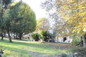 Cascina tra le vecchie vigne con piscina