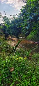 Ka Mariang Nature Retreat