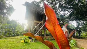Sigiri Veenus Tree House