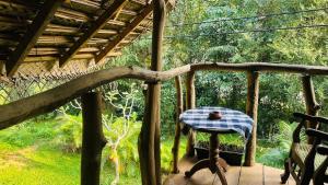 Sigiri Veenus Tree House