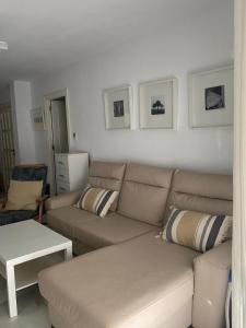 Mimosas Holiday Dream