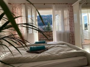 Ferienwohnung FeWo ImZENTRUM