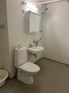 Apartment near the airport in about 9 minutes