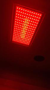 Le Clos du Cerf - Silence & nature