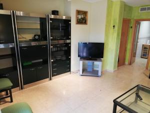 Delfines III Solo Familias Serviplaya