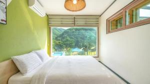 HongCheon Casa Pellis Pet Private Pesion