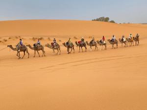 Hotel Kasbah Fenguig
