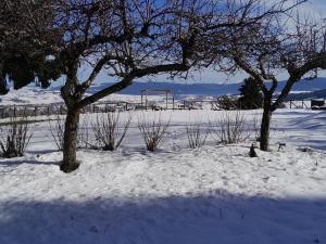 B&B Nonna Iolanda img45