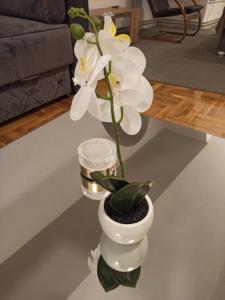 Bella Notte apartments