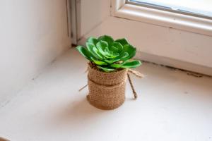 Le petit élégant, Parking Facile, GARE, Wifi