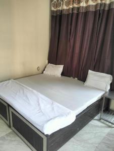 Amore GUEST HOUSE