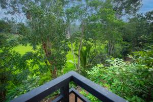 Green Paddy Villa