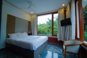Palm Cove Resort And Spa