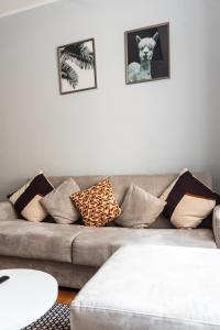 Youhosty - Falcone 7