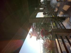 Villa with Pool Monferrato BOTTO LIVING