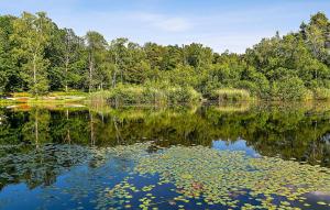 3 Bedroom Pet Friendly Home In Västra Torup