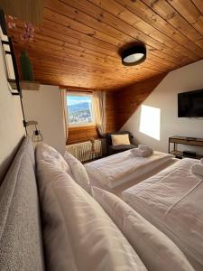 Stejkárna Špičák