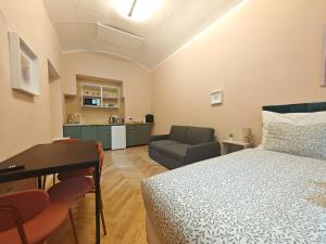 Spacious, Light Studio Apartment in Vinohrady
