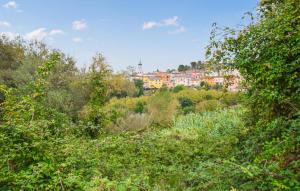 Stunning Home In Torre Le Nocelle With Wifi