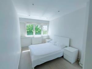 Modern Flat in SE1 London
