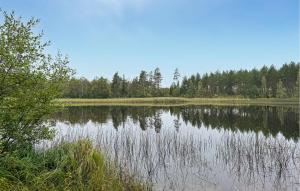 4 Bedroom Amazing Home In Skillingaryd