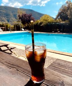 ZEcamping 3 familial pataugeoire chalet 5 pers