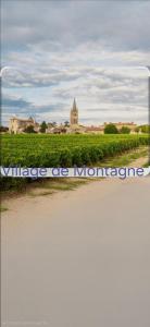 Maison au cœur des vignes