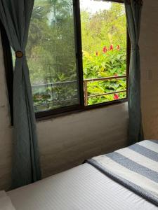 habitaciones ecopolis en el queremal