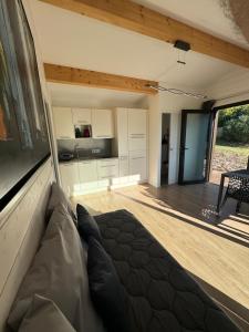 Ermitage Saint Quinis - le Ponant, maison en bois eco ondes