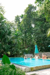 Tree House Mirissa