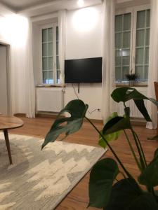 Renovated charming appartment