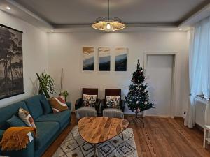 Renovated charming appartment