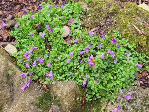 Aumônerie du Prieuré